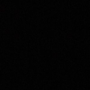 Meet your Posher, Donavan